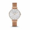Skagen Damenuhr SKW2151 Edelstahl