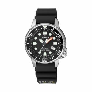 Citizen Damenuhr EP6050-17E Edelstahl