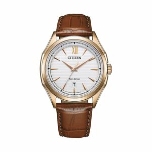 Citizen Herrenuhr Leder Eco Drive AW1753-10A Edelstahl