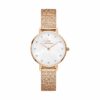 Daniel Wellington Damenuhr DW00100590 Edelstahl