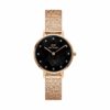Daniel Wellington Damenuhr DW00100591 Edelstahl