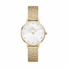 Daniel Wellington Damenuhr DW00100594 Edelstahl